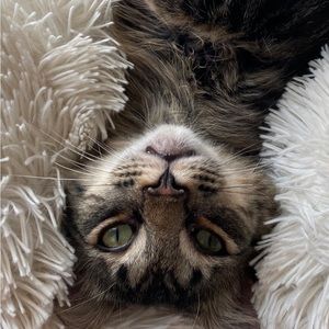 Meet your Posher, Jenn